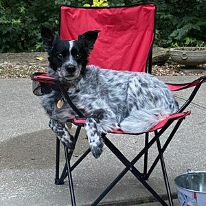 Meet your Posher, Andrew